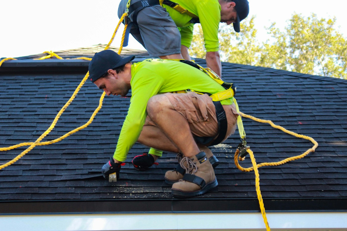Two roofers in safety harnesses working on an asphalt shingle roof